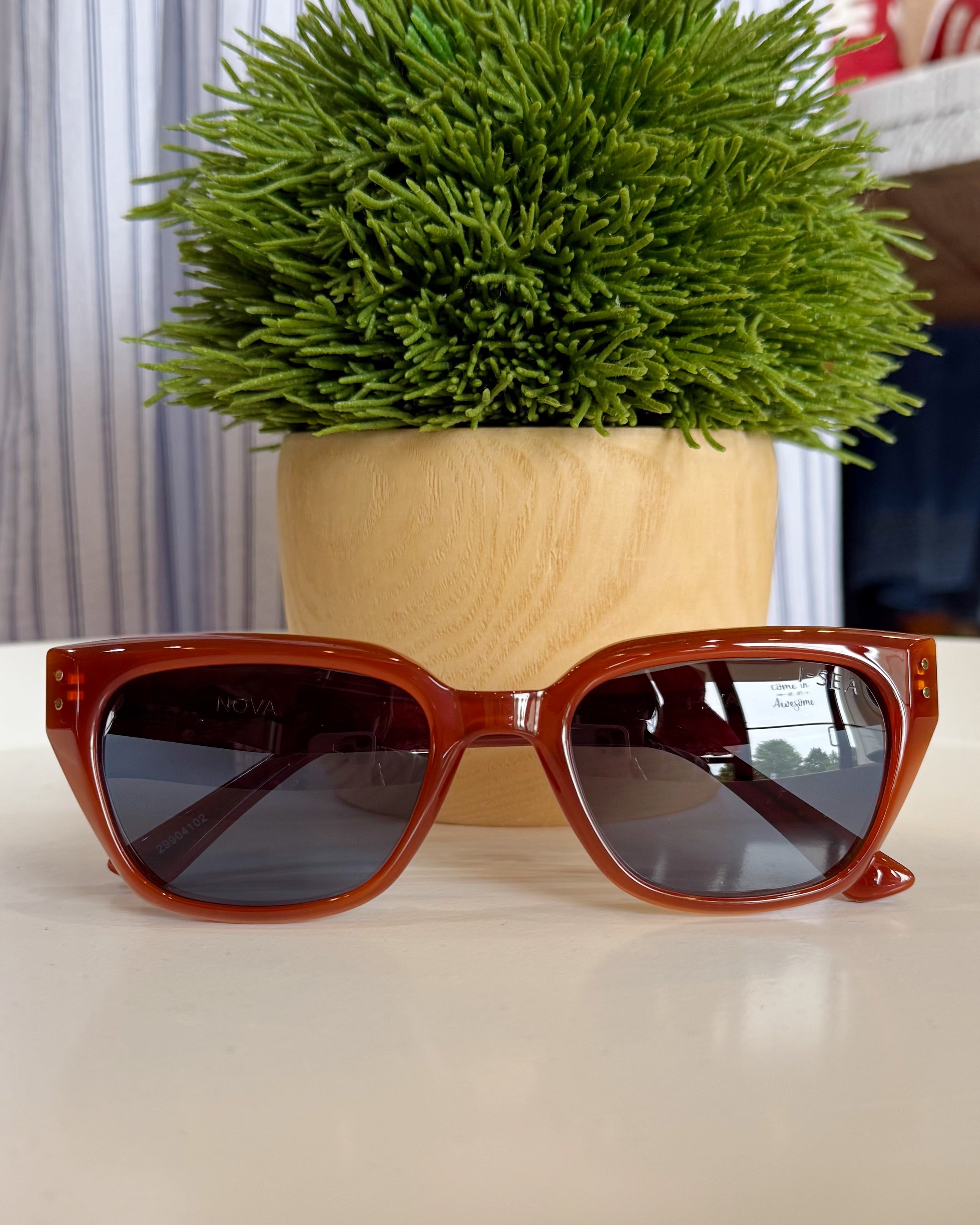 Brown sunglasses on a surface with a green plant in the background