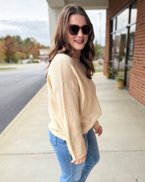 Brooklyn REG/CURVY Star Sequin Sweater