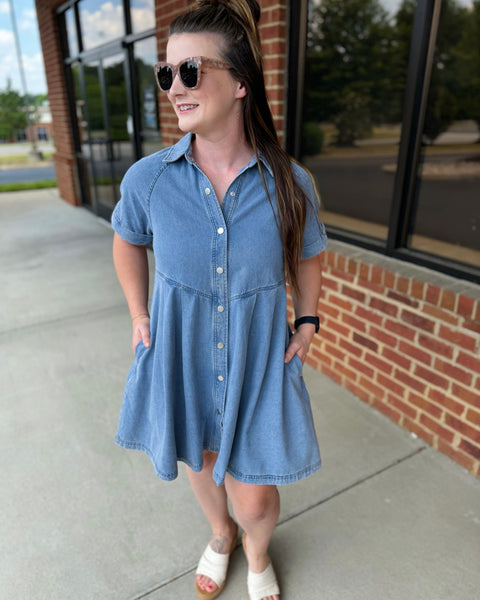 Paxton Denim Dress FINAL SALE