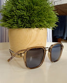 Sunglasses with a wooden pot and green plant on a light surface