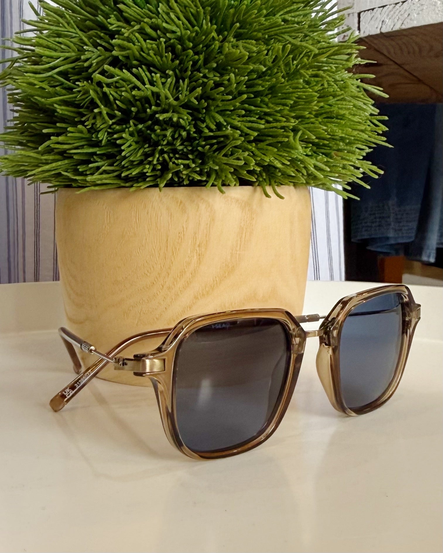 Sunglasses with a wooden pot and green plant on a light surface