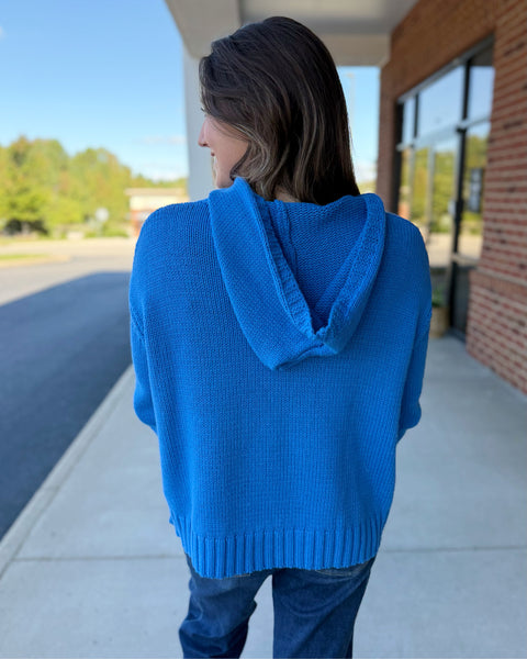 Wesley Hooded Sweater in Blue