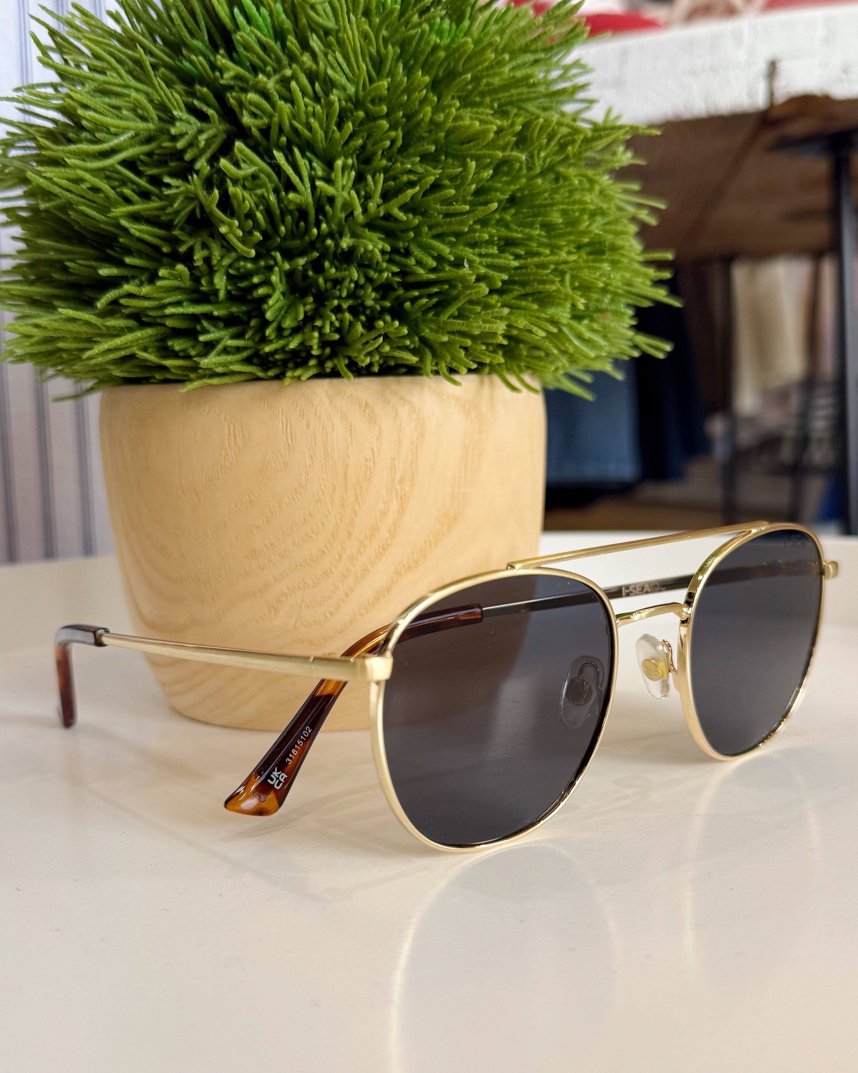 Gold-framed sunglasses with dark lenses on a reflective surface, with a potted plant in the background.