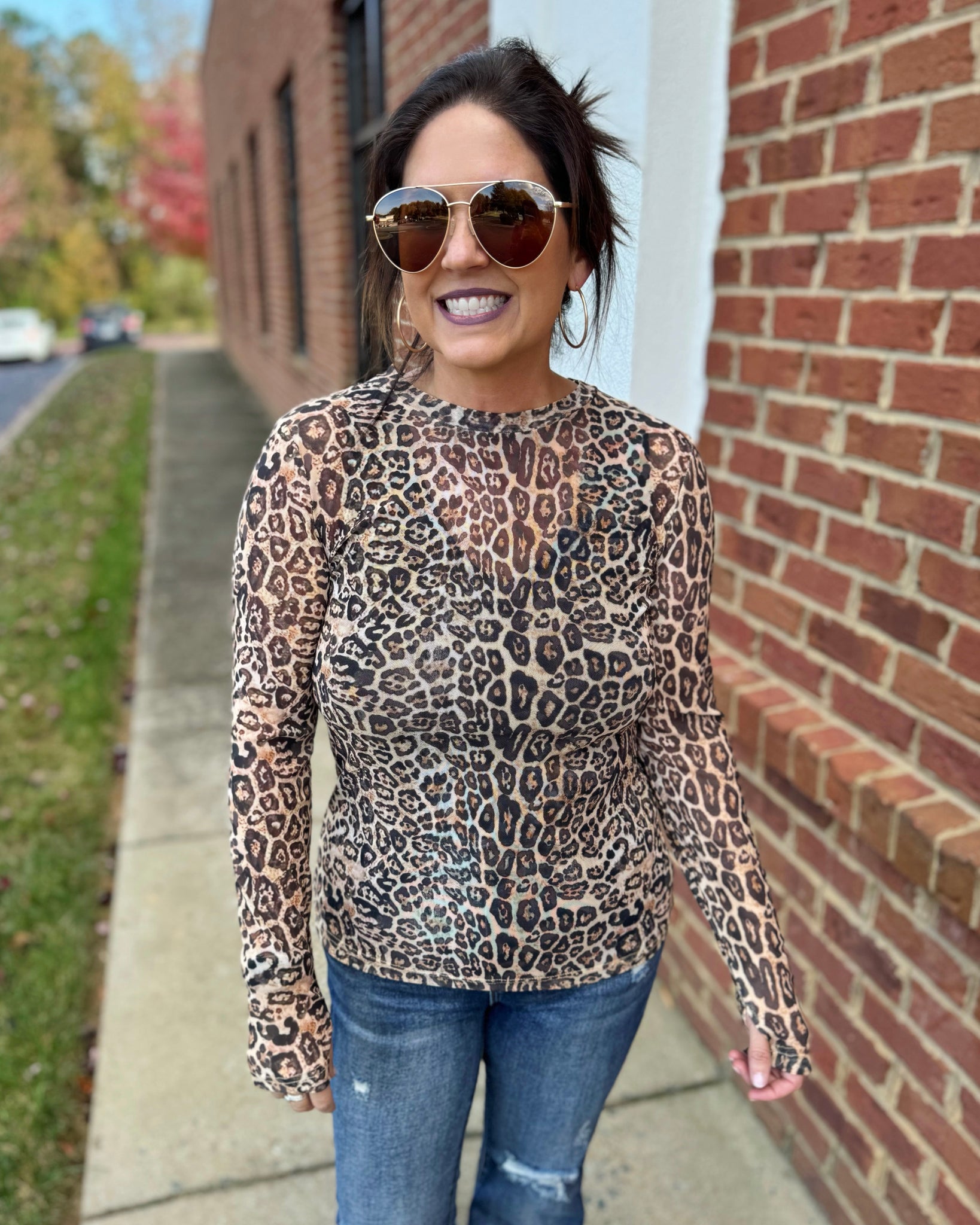 Dress It Up REG/CURVY Mesh Top in Cheetah