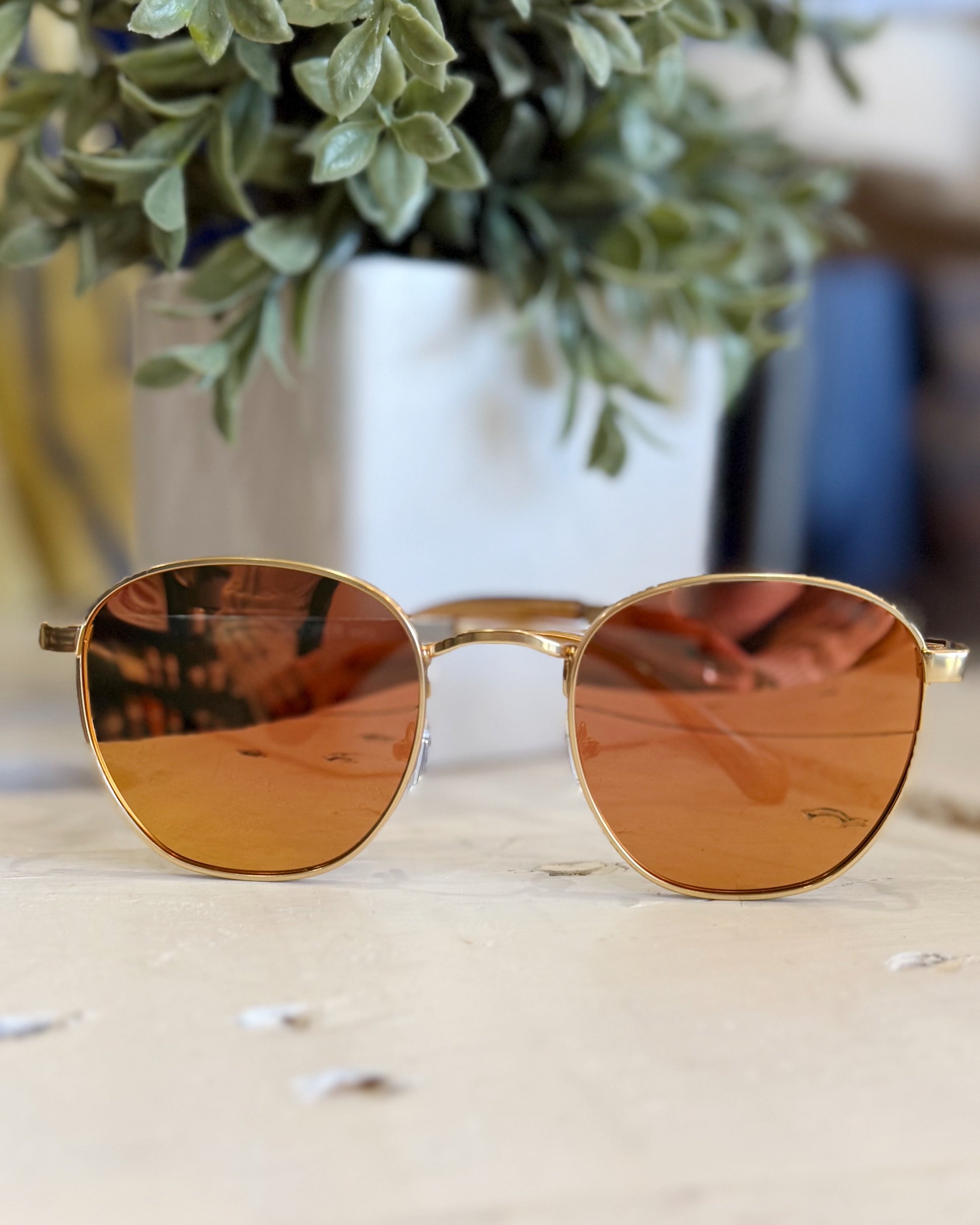 Gold-framed sunglasses with brown lenses on a light surface with a plant in the background