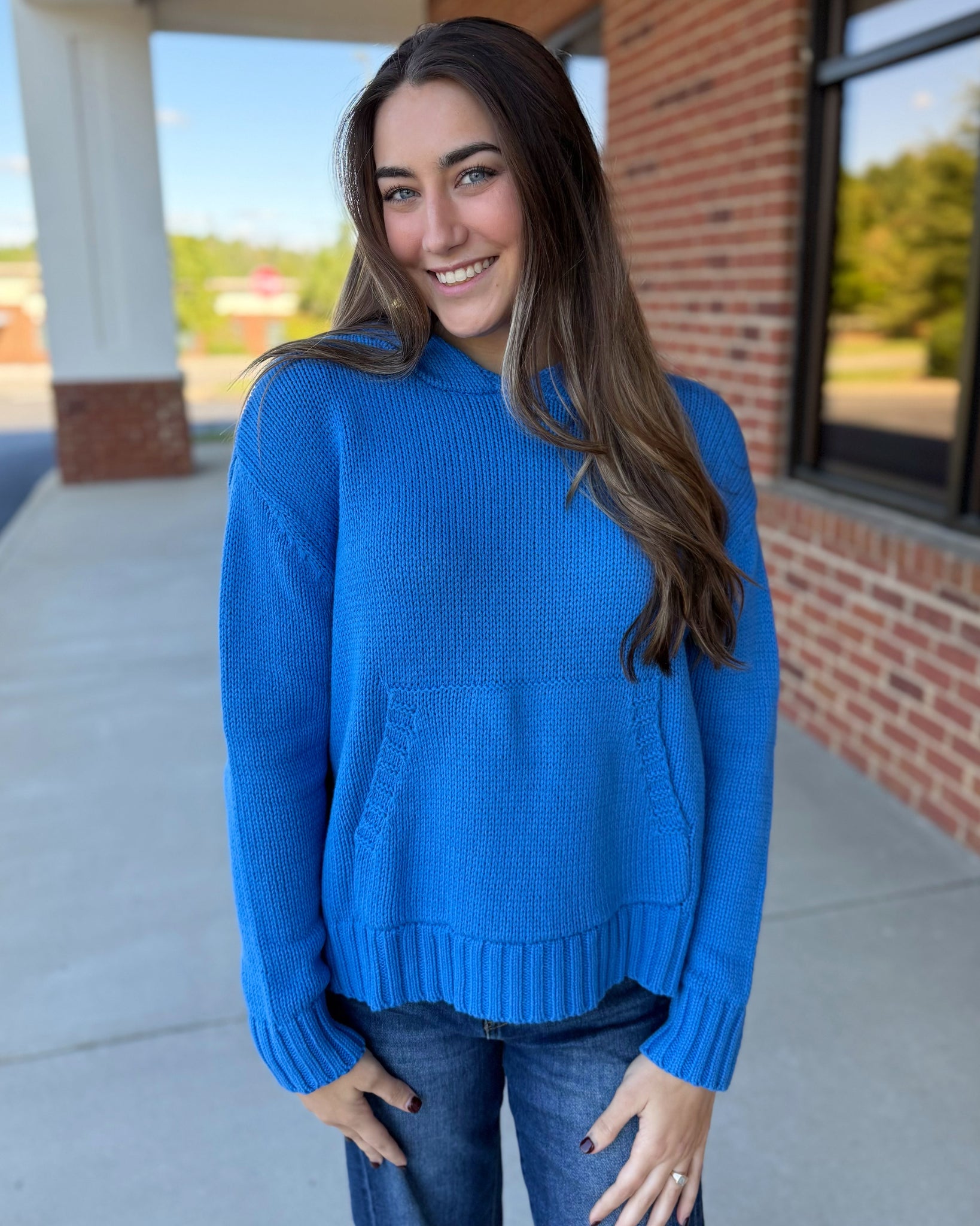Wesley Hooded Sweater in Blue