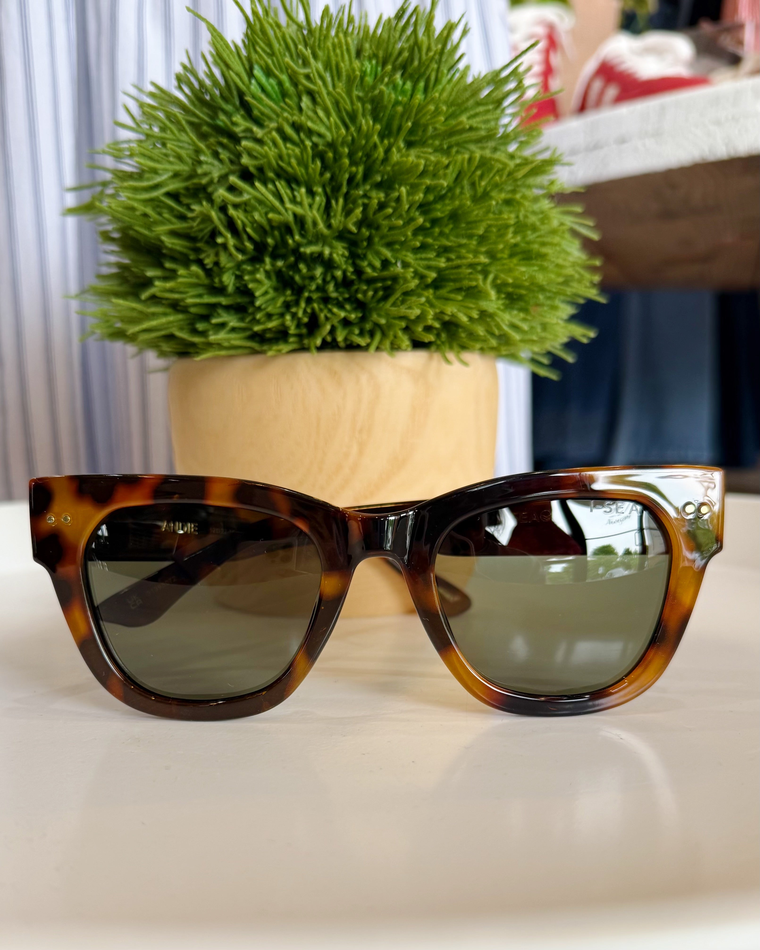 Tortoiseshell sunglasses on a white surface with a green plant in the background