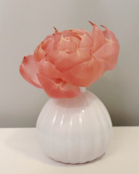 Sweet Grace Pink Flower Diffuser