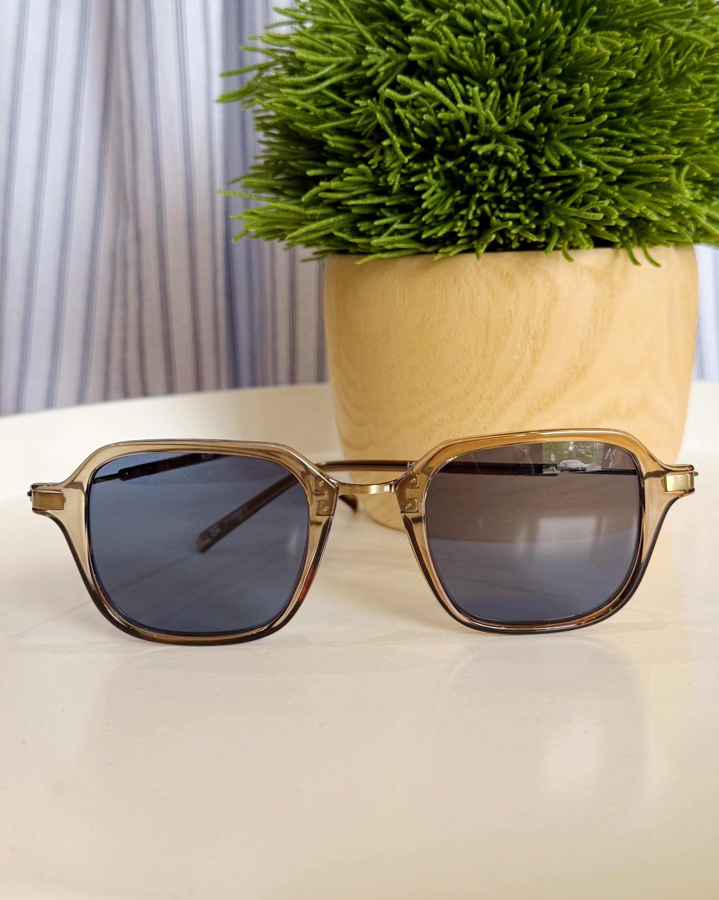 Sunglasses on a surface with a potted plant in the background