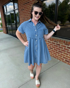 Paxton Denim Dress FINAL SALE