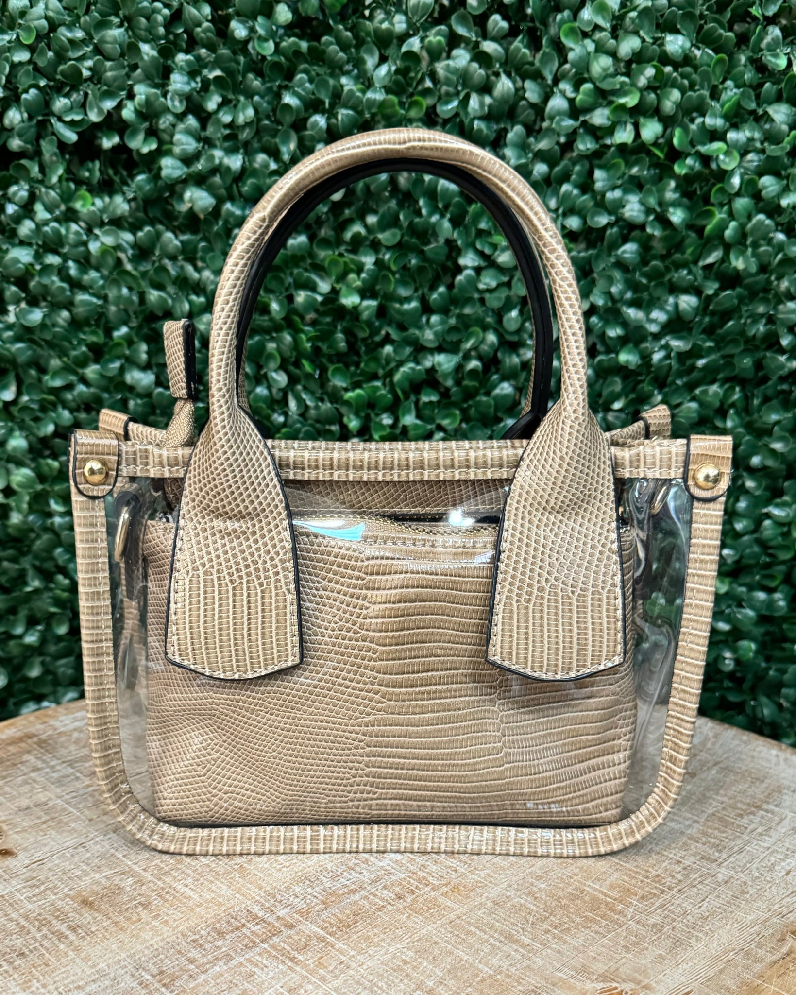 Stacey Clear Satchel Bag in Taupe