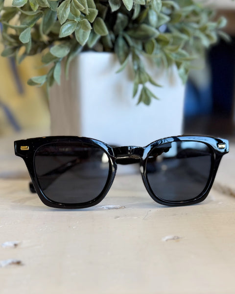 I-SEA Palmer Sunglasses in Black/Smoke