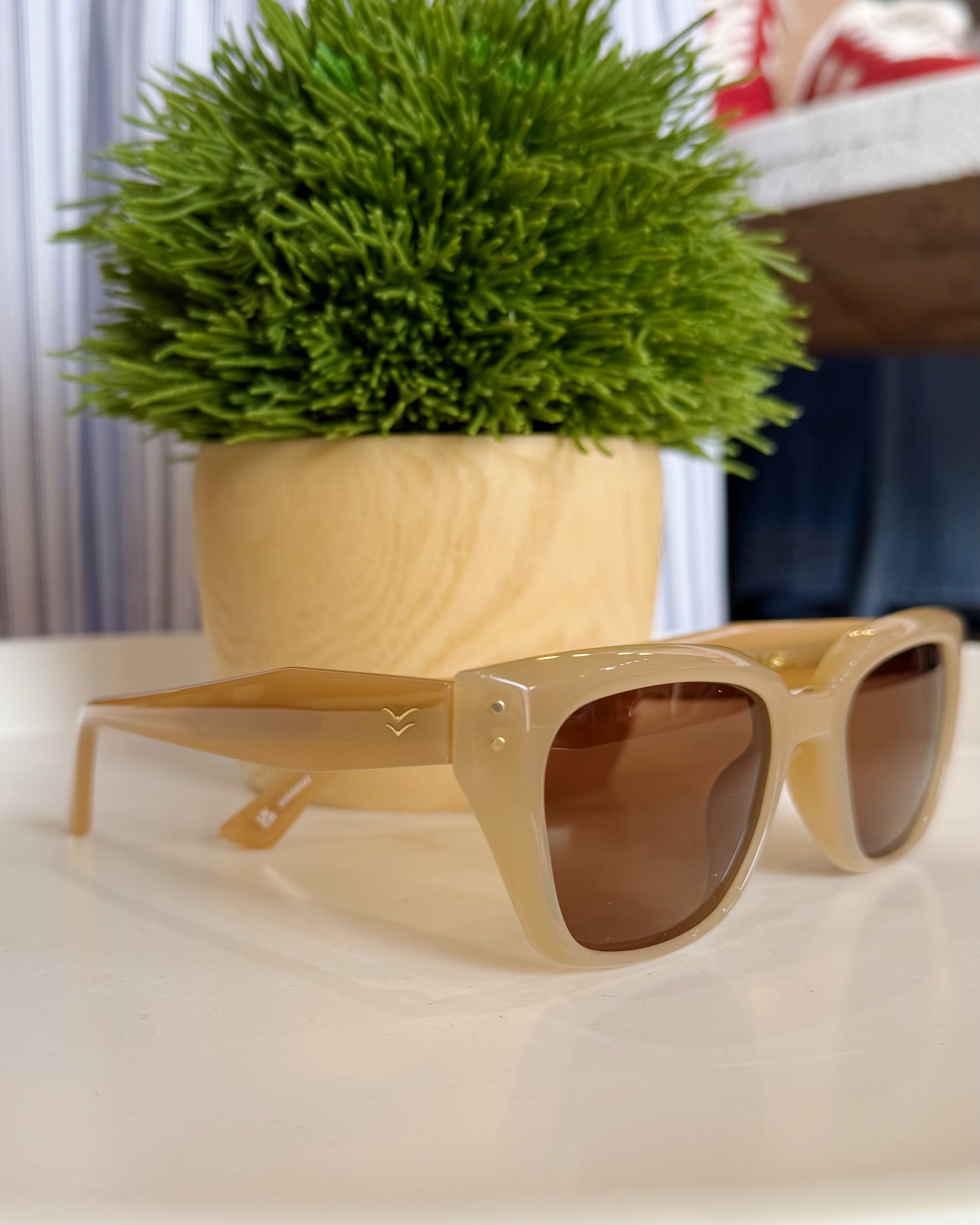Beige sunglasses on a white surface with a green plant in the background
