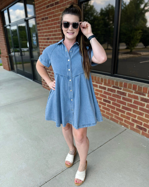 Paxton Denim Dress FINAL SALE