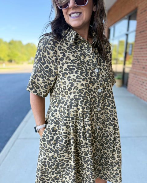 Natalia Dress in Taupe