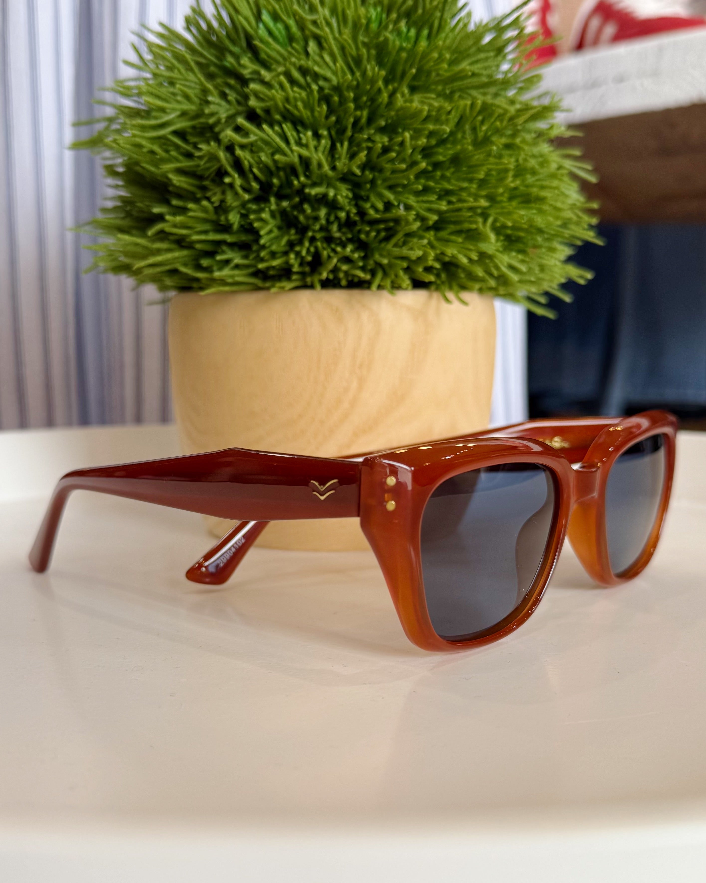 Brown sunglasses on a white surface with a green plant in the background