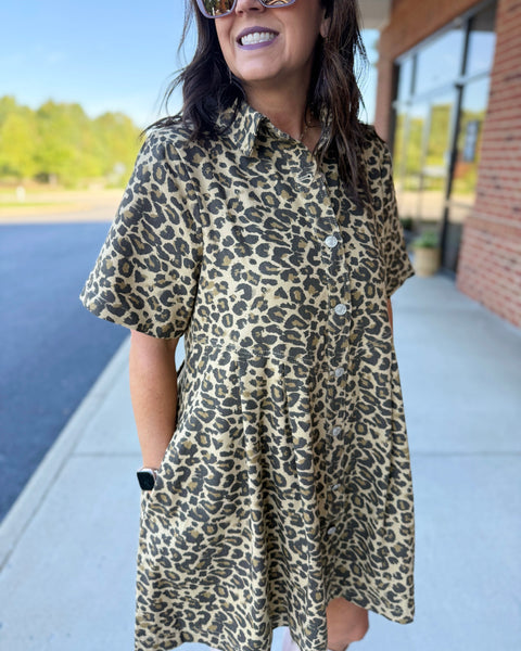 Natalia Dress in Taupe